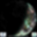 Day/Night Cloud Microphysics RGB