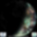 Day/Night Cloud Microphysics RGB