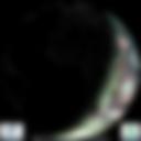 Day/Night Cloud Microphysics RGB