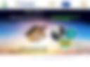 Continental Multi-Hazard Outlook — 2024-01-04