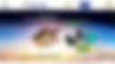 Continental Multi-Hazard Outlook — 2024-01-29