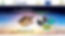 Continental Multi-Hazard Outlook — 2024-11-07