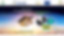Continental Multi-Hazard Outlook — 2025-02-20