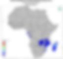 5-Day Rainfall Probability Forecast